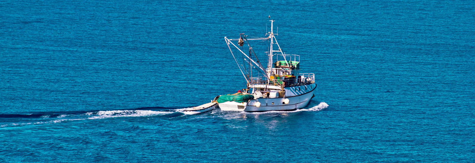 Johnson center marine conservation